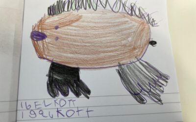 En kotte som inte växer i träd