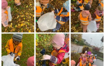 Skräpplockardag v.44