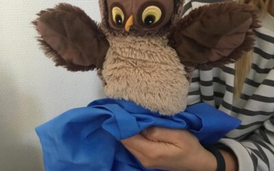 Ugglan Umi flyttar in v.42