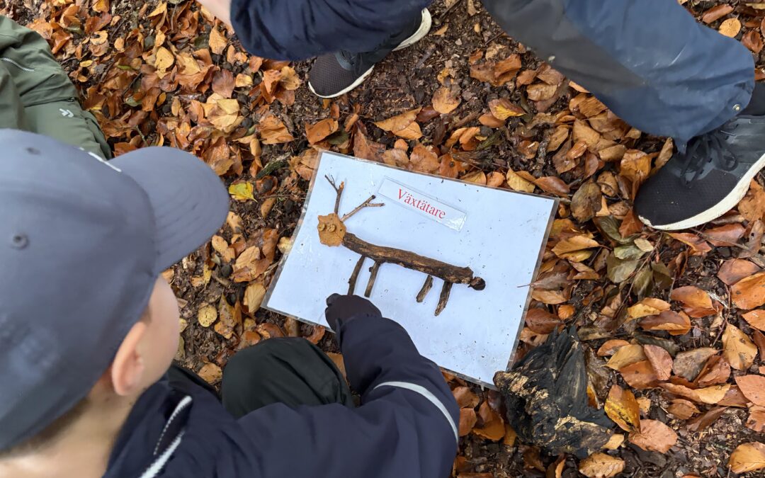 Skogslektion med Miljöverkstaden