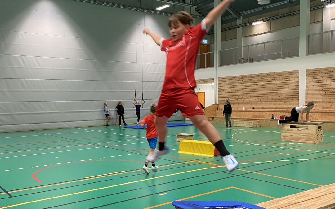 Gymnastik på idrotten