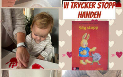 Kometen,  Stjärnan ⭐️ v.47