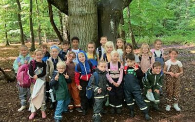 Skoljoggen/Pålsjöskog