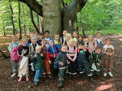 Skoljoggen/Pålsjöskog