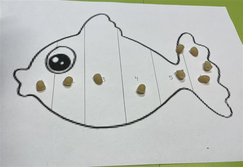 Mattespelet ”Fisken”