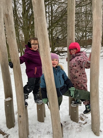 🌲 Äventyr i Lilleskog med Cirkeln!