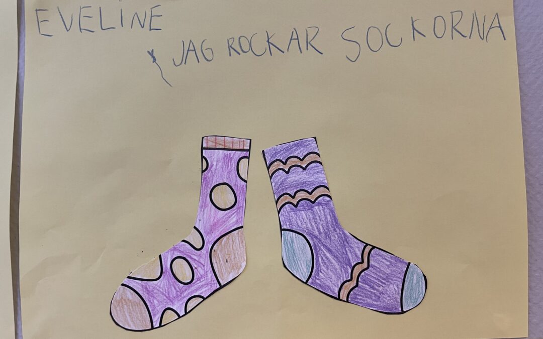 Rocka sockorna