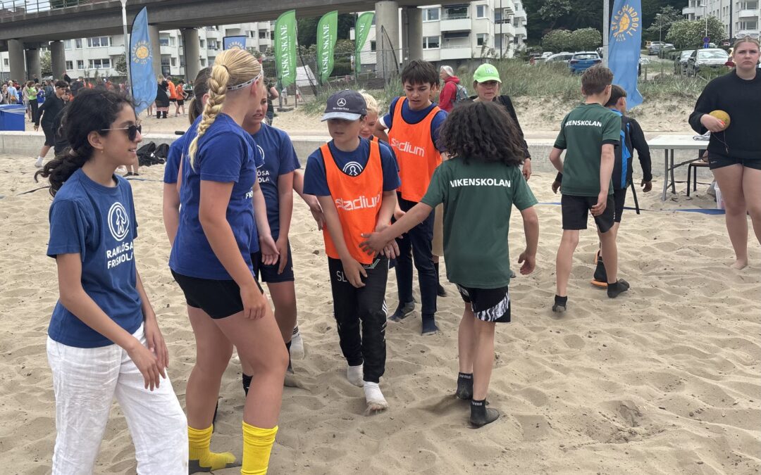 Lag vit vinst 12-1!