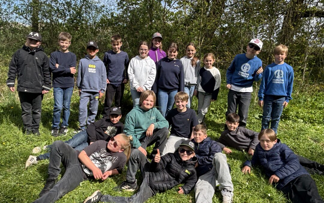 Trädplantering åk 4