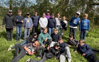 Trädplantering åk 4