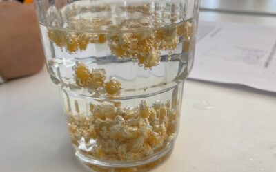 Dansande popcorn