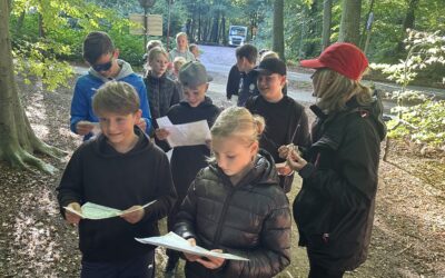 Pålsjö skog – orientering